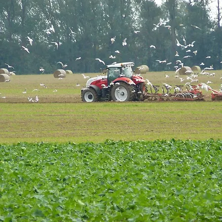 Hébergement de vacances Am Radwanderweg Klausdorf (Vorpommern-Rugen)