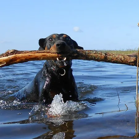Hébergement de vacances Am Radwanderweg *