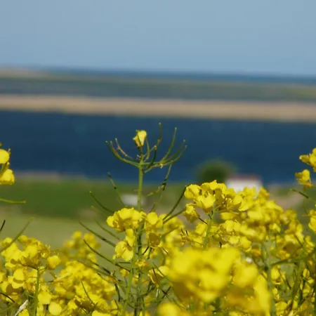 Am Radwanderweg Klausdorf (Vorpommern-Rugen)
